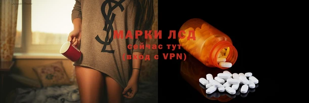 спайс Баксан